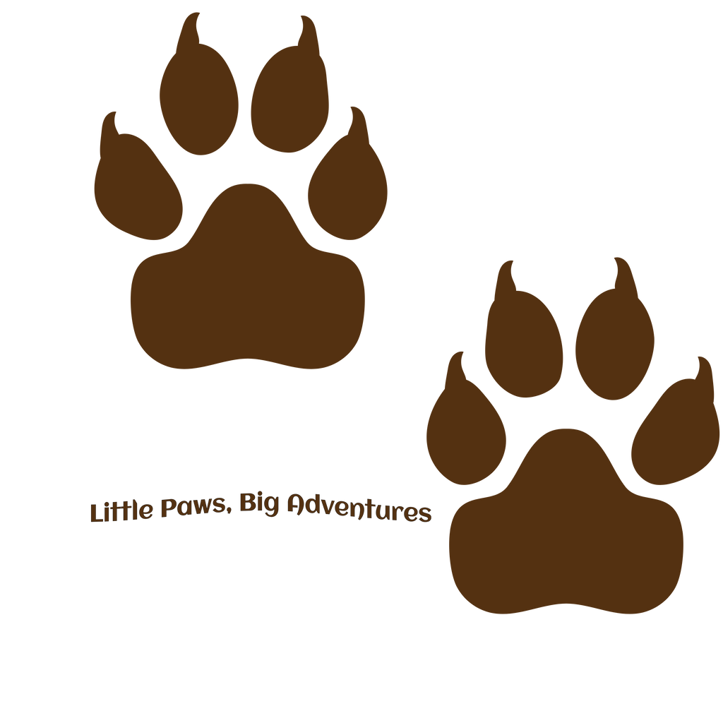 Wear Amura - Boy's Little Paws T-Shirt